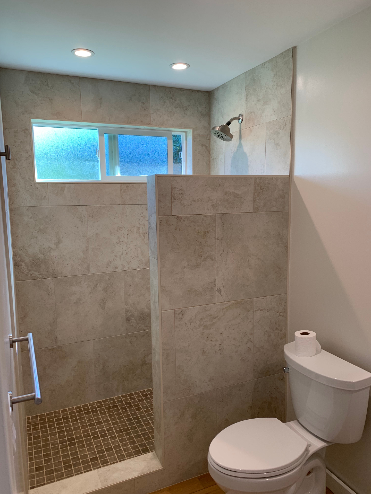 Modern Walk-In Shower Renovation